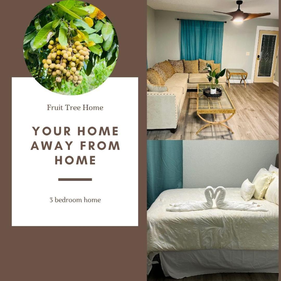 3Bdrm Fruit Tree Home Near Downtown Orlando Exterior foto